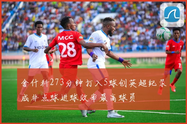 舍什科273分钟打入5球创英超纪录成非点球进球效率最高球员