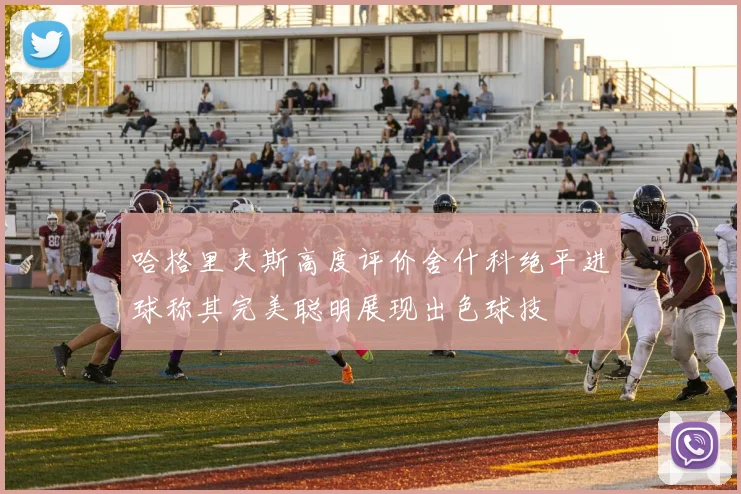 哈格里夫斯高度评价舍什科绝平进球称其完美聪明展现出色球技