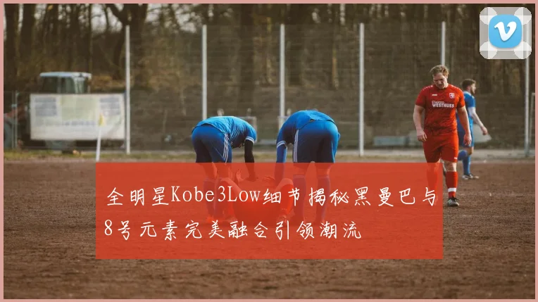 全明星Kobe3Low细节揭秘黑曼巴与8号元素完美融合引领潮流