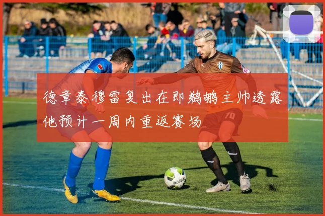 德章泰穆雷复出在即鹈鹕主帅透露他预计一周内重返赛场