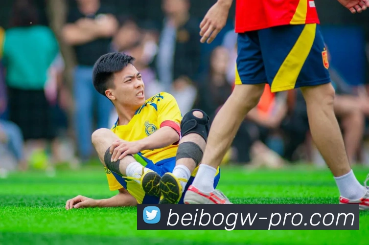 贝博官网服务体系